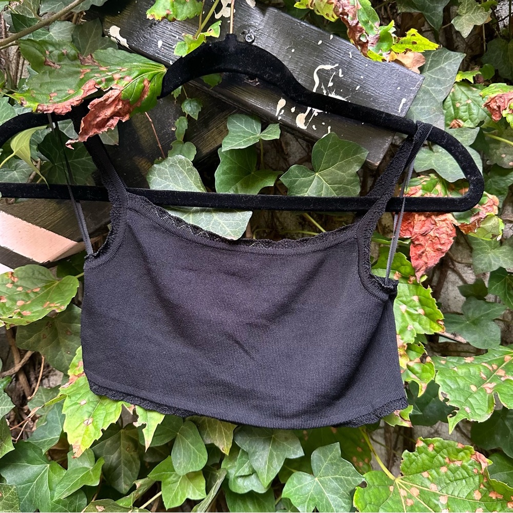 Zara Crop Top
